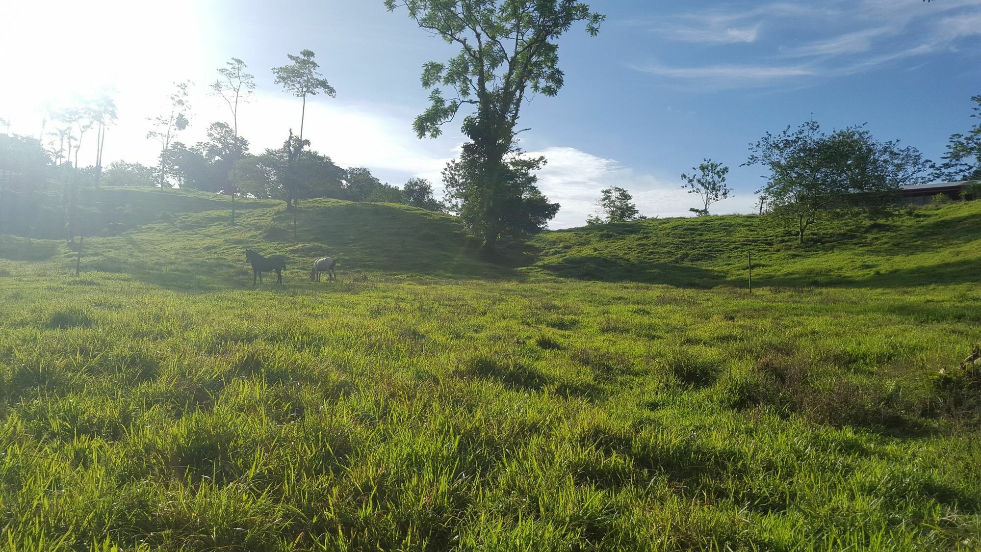 Arenal Bungalows La Fortuna المظهر الخارجي الصورة